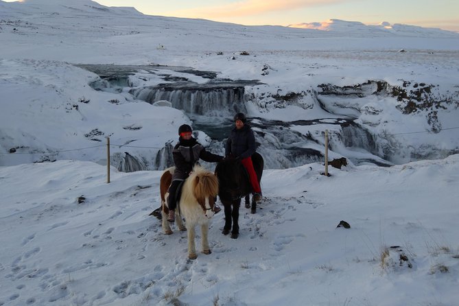 The Viking Horse Riding Experience in North Iceland - Price and Value: Is $123.75 Worth 90 Minutes in Winter?