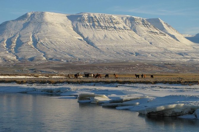 The Viking Horse Riding Experience in North Iceland - Where the Ride Starts: Hestasport Reception in Varmahlíð