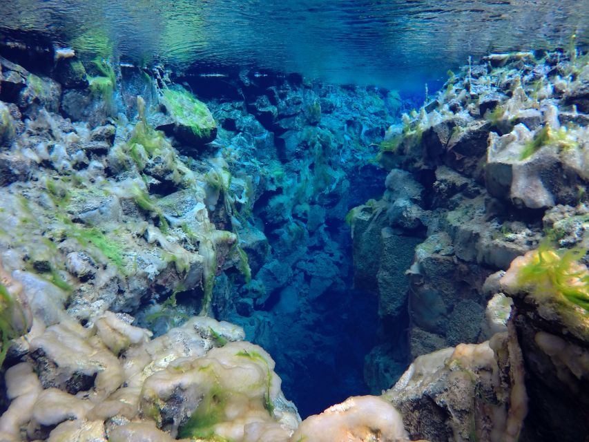 Thingvellir: Silfra Freedive Adevnture with a Guide - Small-group reality: what it changes once you are in the water