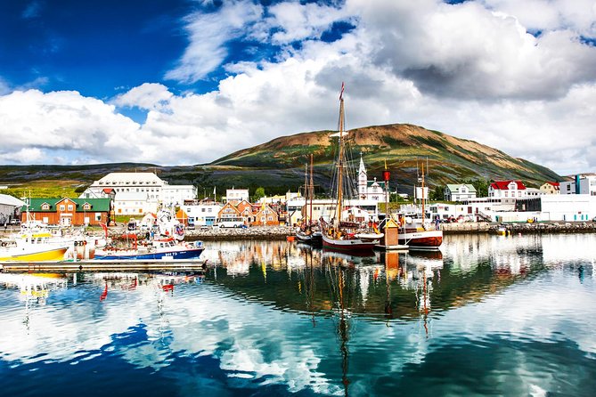Traditional Oak Ship Whale Watching Tour From Husavik - The guide role: identifying whales and watching with restraint