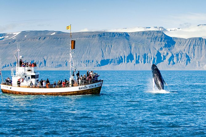 Traditional Oak Ship Whale Watching Tour From Husavik - Time on the water and what happens back at the end