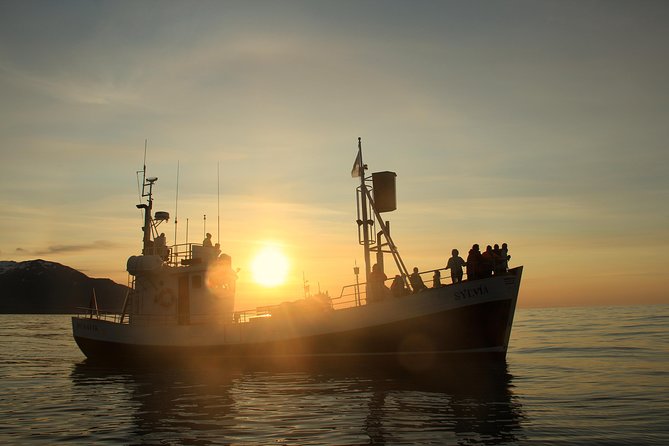 Traditional Whale Watching from Húsavík by Local Family Company - Price and Value: Is $102.58 Worth It?