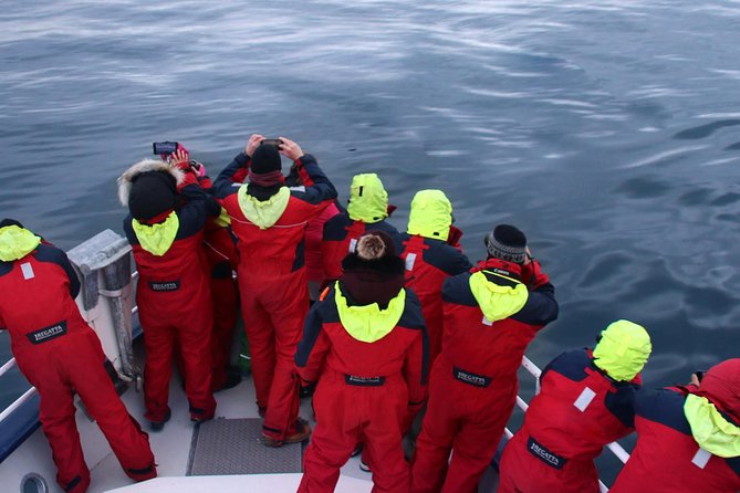 Two-In-One: Whale & Puffin Watching Tours from Reykjavik - Onboard comfort, gear, and the value of real guidance