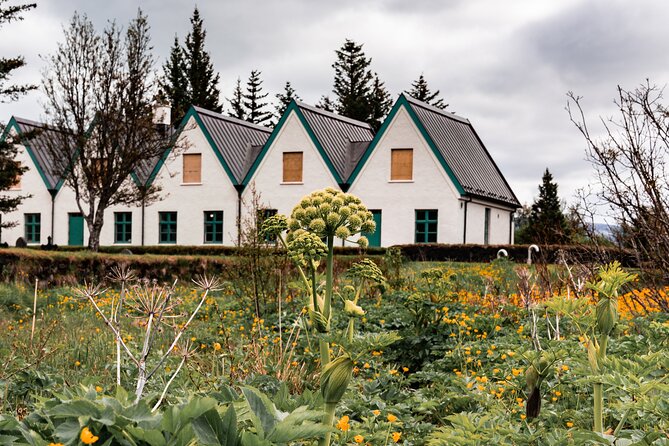 Unforgettable Full-Day Golden Circle Private Tour from Reykjavík - Stop 1: Þingvellir National Park and the Alþing connection
