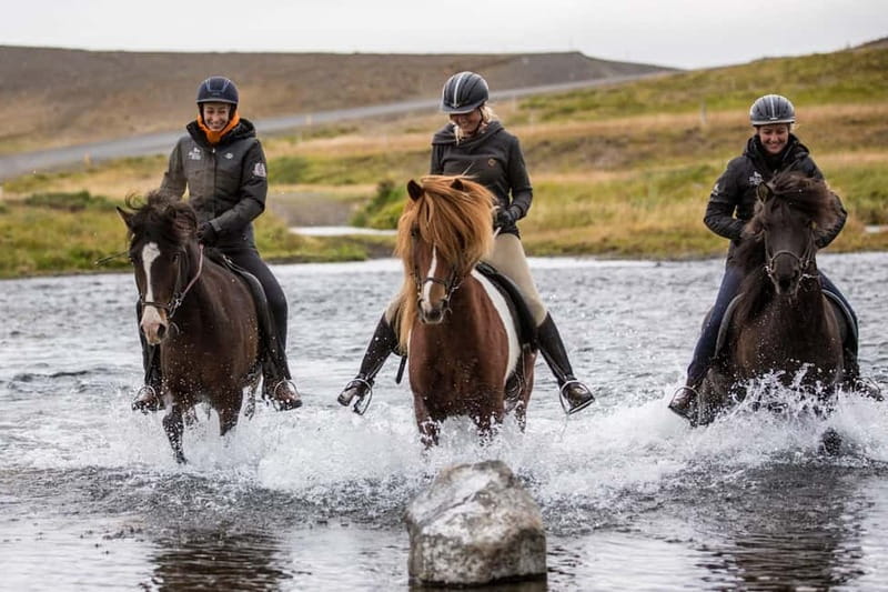 Varmahlid: Viking Horse Riding Tour - Key highlights to know before you go