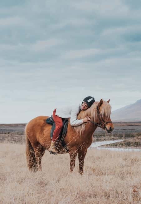 Varmahlid: Viking Horse Riding Tour - Varmahlíð and North Iceland, why this ride works