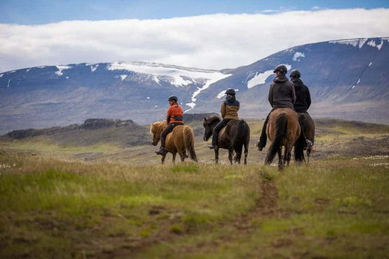 Varmahlid: Viking Horse Riding Tour - Icelandic horses and the tölt gait, what it feels like in motion