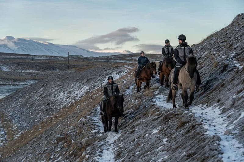 Varmahlid: Viking Horse Riding Tour - The Svartá river trail, views plus real riding moments