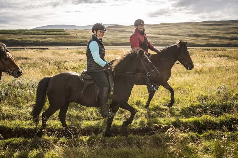 Varmahlid: Viking Horse Riding Tour - What to pack and how to dress for a 1.5-hour ride