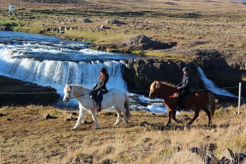 Varmahlid: Viking Horse Riding Tour - Getting started at Hestasport, meeting point and how the day flows