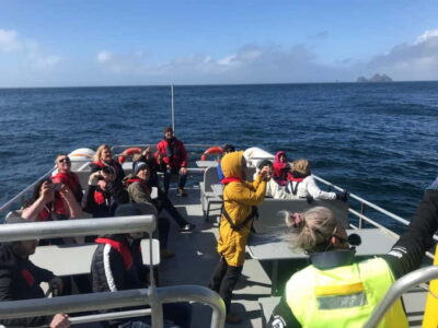 Vestmannaeyjar: Heimaey Island Round Boat Tour