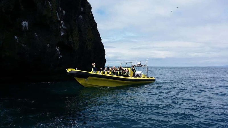 Vestmannaeyjar: One Hour Small Islands Trip - Key points