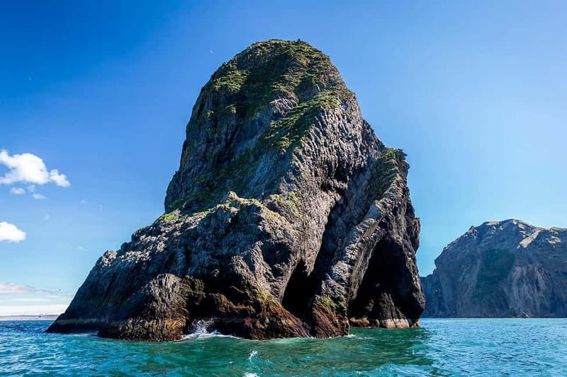 Vestmannaeyjar: One Hour Small Islands Trip - One Hour of RIB Speed, Caves, and Westman Islands Scenery
