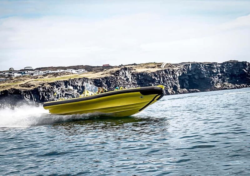 Vestmannaeyjar: One Hour Small Islands Trip - Price and Value: Is $153 Worth One Hour?