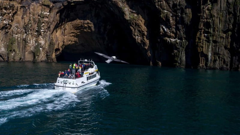 Vestmannaeyjar: Puffin, Island, and Volcano Boat Tour - Puffin Islands and a Boat Route That Makes Sense