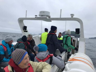 Vestmannaeyjar: Puffin, Island, and Volcano Boat Tour