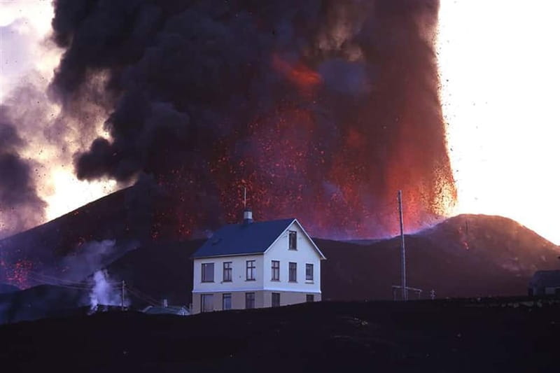 Vestmannaeyjar: Puffin, Island, and Volcano Boat Tour - Heimaey and the 1973 Lava: Geology You Can See