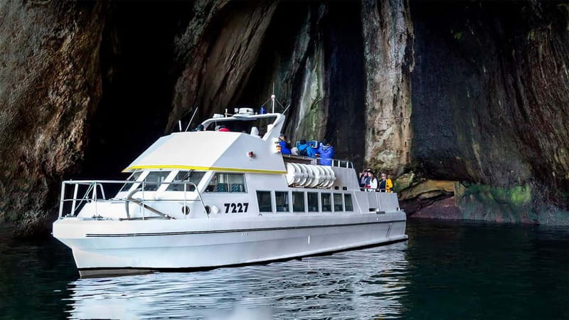 Vestmannaeyjar: Puffin, Island, and Volcano Boat Tour - Duration, Season, and Group Size: What the Scheduling Really Means