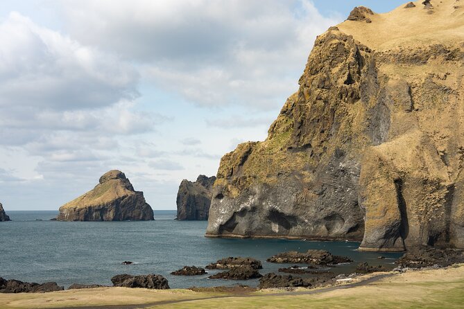 Vestmannaeyjar, Puffins & Volcanoes Small Group Day Tour - Key highlights worth planning for