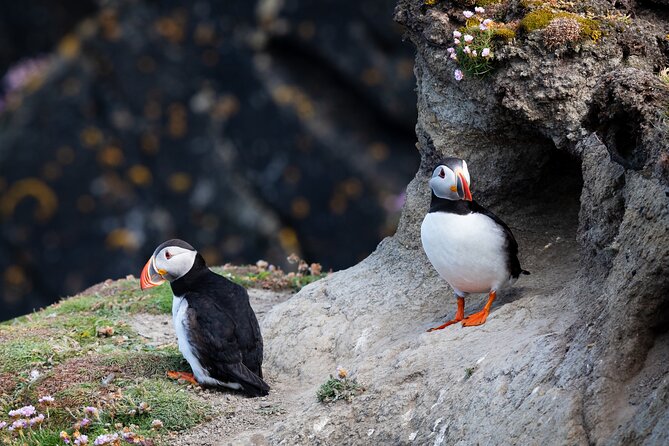 Volcanic Vistas & Puffin Paradise ATV Tour - Elephant Rock: a quick stop that sets the volcanic tone