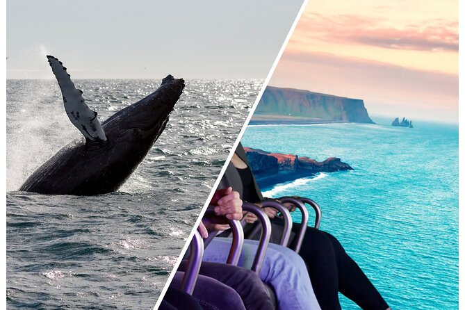 Whale Watching And Fly Over Iceland Guided Tour - Quick hit highlights