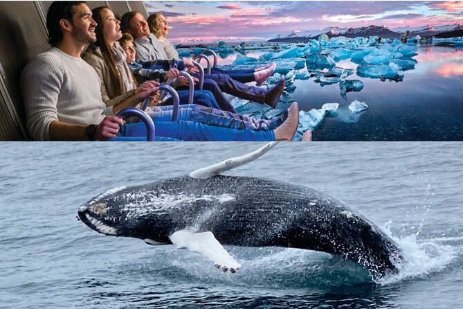 Whale Watching And Fly Over Iceland Guided Tour - When weather turns: staying comfortable on a wet, windy day