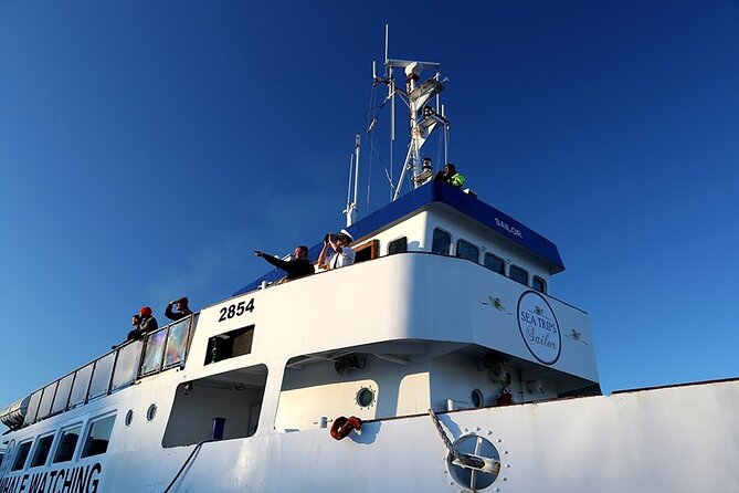 Whale Watching and Marine Life Tour in Reykjavik - Onboard Wi-Fi for Live Photos, Plus the Comfort Factor That Helps in the Cold