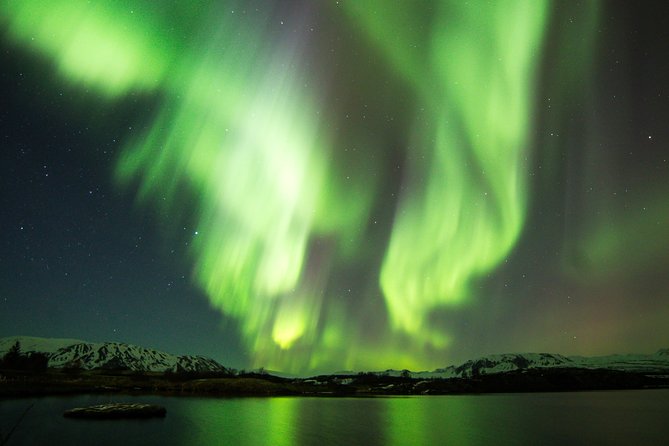 Whale Watching and Northern Lights Half-Day Combo Tour - A combo tour that saves your time in Reykjavik