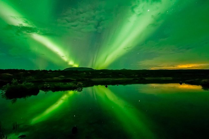 Whale Watching and Northern Lights Half-Day Combo Tour - What you can realistically see on the whale cruise