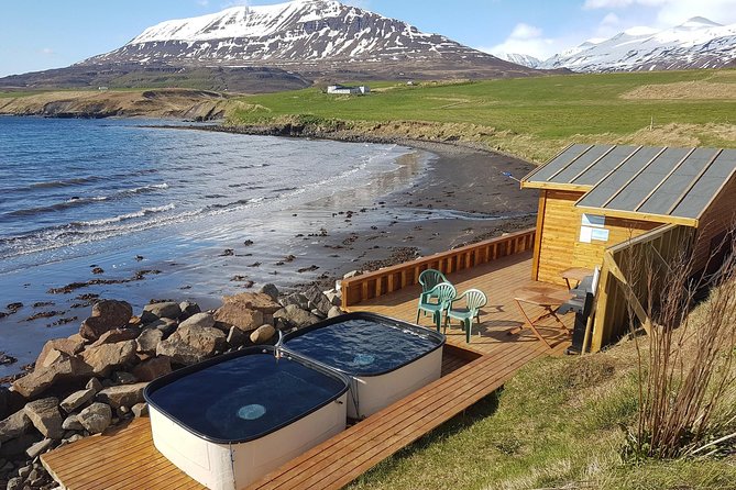 Whale Watching and Sea Angling Tour - Getting to the port from Akureyri without stress
