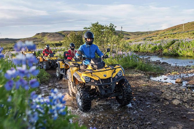 Whale Watching & ATV Adventure from Reykjavik - Keeping your day comfortable when the sea gets choppy