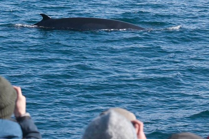 Whale Watching & ATV Adventure from Reykjavik - The quad safari start near Reykjavik: gear and first instruction