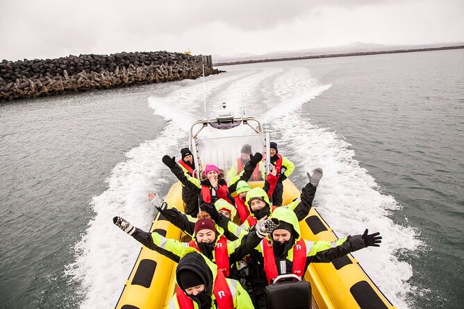 Whale Watching by RIB Speedboat from Downtown Reykjavik - Key things I’d bet on before you book