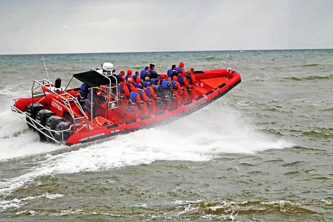 Whale Watching by RIB Speedboat from Downtown Reykjavik - The real reason this RIB whale tour feels different