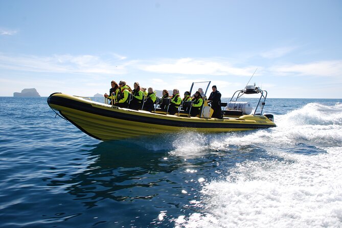 Whale Watching by RIB Speedboat from Downtown Reykjavik - Gear and clothing: stay warm without overthinking it