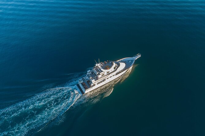 Whale Watching Cruise on a Yacht in Reykjavik - Old Harbour to the open water: what the 3 hours feel like