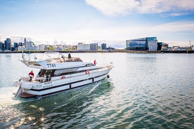 Whale Watching & Dolphin Yacht Cruise - Key points that matter before you go