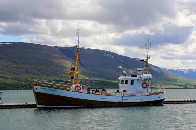 Whale Watching from Akureyri Port - Port pickup, then straight to Hauganes