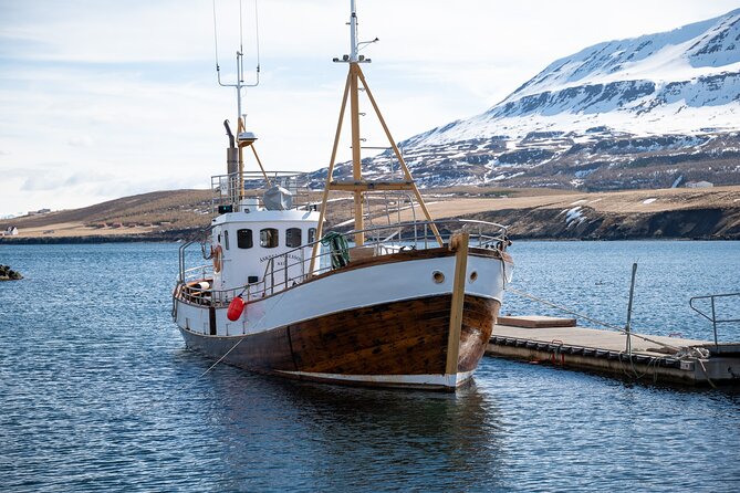 Whale Watching from Akureyri Port - Your 4-hour plan in Akureyri, from pickup to fjord drive