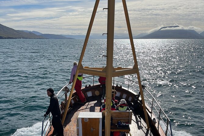 Whale Watching from Akureyri Port - Who should book this whale watching from Akureyri port
