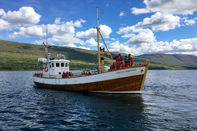 Whale Watching from Akureyri Port - What the boat ride in the fjord is really like