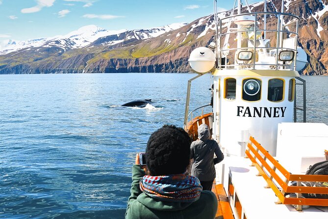 Whale Watching in Husavik - The 3-hour cruise: how the time usually feels on board