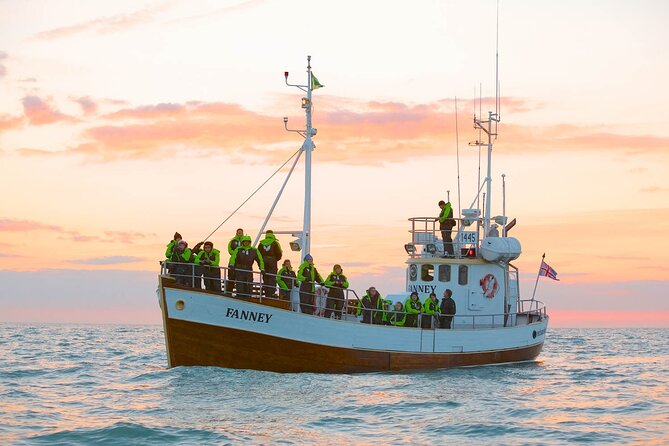 Whale Watching in Husavik - Price and value: why $113 can still feel fair in Húsavík
