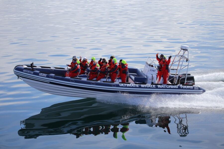 Whale Watching in Reykjavik by Speedboat - Speedboat Whale Watching From Old Harbour: What the 2 Hours Feels Like