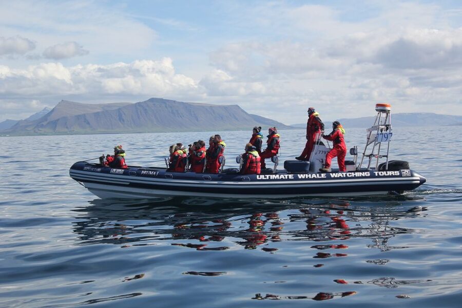Whale Watching in Reykjavik by Speedboat - Meeting Point, Timing, and What to Bring for a Smooth Start