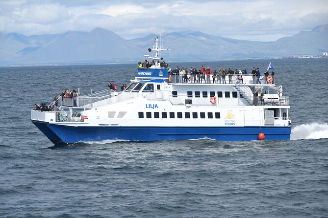 Whale Watching Tour from Akureyri City Central - Boat Comfort, Warm Gear, and the View Strategy
