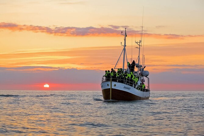 Whales and Puffins Tour from Husavik - Skjálfandi Bay: why this tour feels special in Húsavík