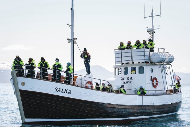 Whales and Puffins Tour from Husavik - A fair word on sighting expectations