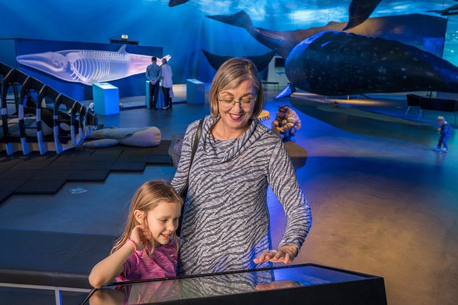 Whales Of Iceland Admission Ticket - Family-Friendly Iceland Weather Plan: Play Area, Cafe, and Small Group Tours