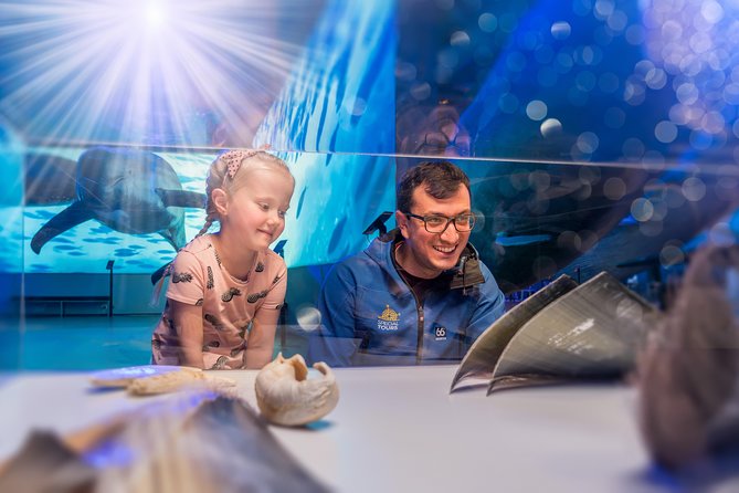 Whales Of Iceland Admission Ticket - Where This Fits in Your Day: Timing and Flow